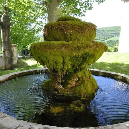 Chateau De Beaucouse Thoard Buitenkant foto